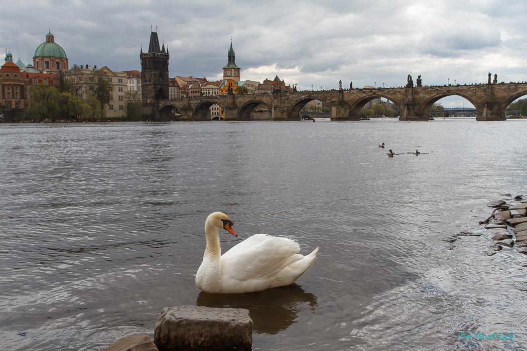 Blick zur Karlsbrücke